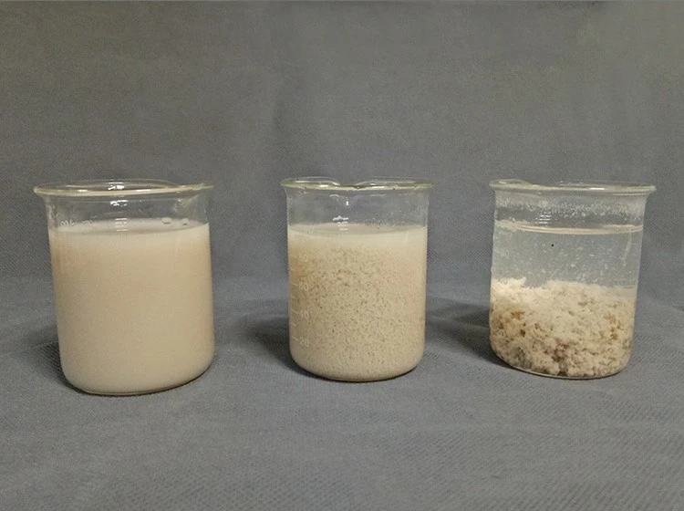 Cationic Polyacrylamide Polymers 9003-05-8 (6) Cationic Polyacrylamide Polymers 9003-05-8 (6)