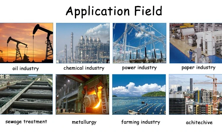 Manufacturing Plant Linear Hydrolyzed Nonionnic Polyacrylamide (2)