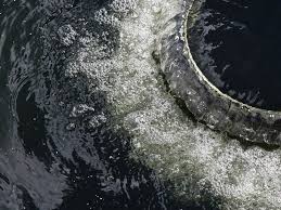 info-259-194 info-259-194