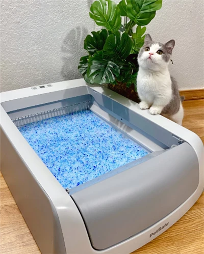 Tofu Kedi Kumu Ücretsiz Örnek Pet Temizlik Malzemeleri Toptan Silika Jel Kedi Kumu