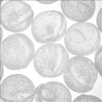 Su Arıtma 1mm 3mm 6mm 10mm 20mm Granül Silifos Polifosfat Kristal RO Antiscale Topları